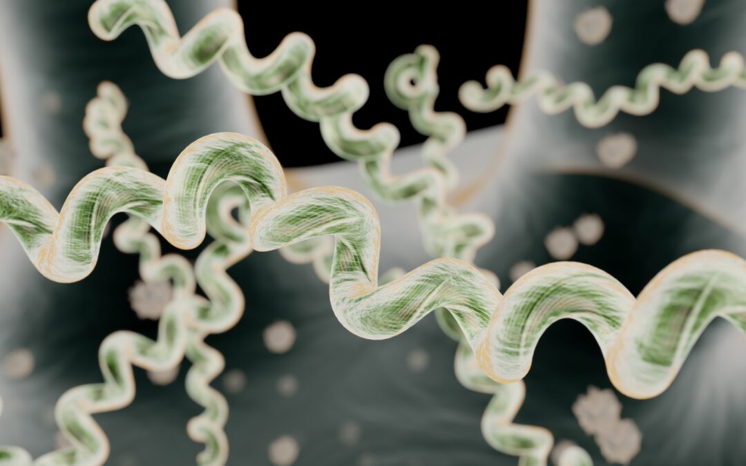 Addressing Lyme with DesBio’s Series Symptom Relief Pathway and The Power of Three