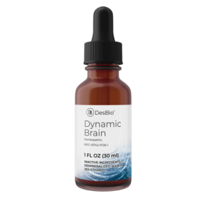 Dynamic Brain